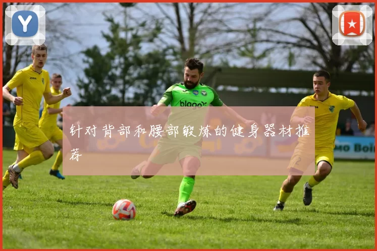 针对背部和腰部锻炼的健身器材推荐