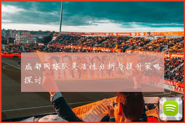 成都网球队灵活性分析与提升策略探讨