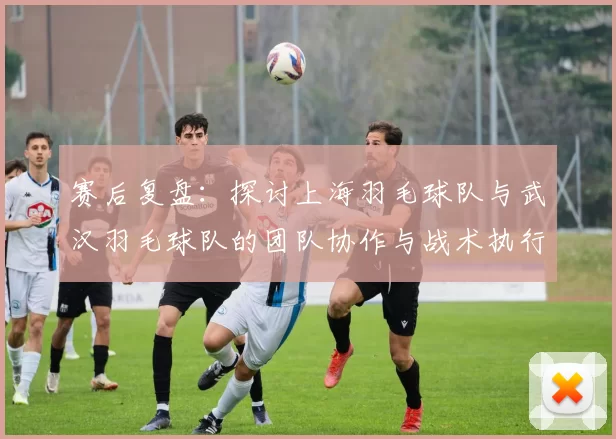 赛后复盘：探讨上海羽毛球队与武汉羽毛球队的团队协作与战术执行