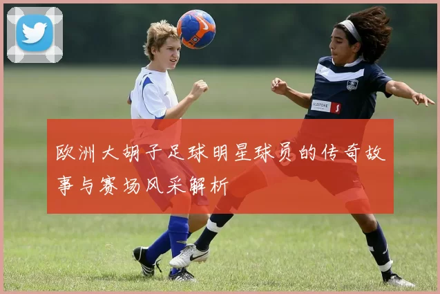欧洲大胡子足球明星球员的传奇故事与赛场风采解析