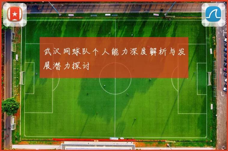 武汉网球队个人能力深度解析与发展潜力探讨
