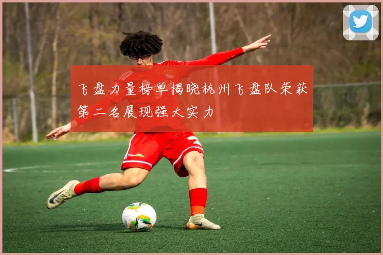 飞盘力量榜单揭晓杭州飞盘队荣获第二名展现强大实力