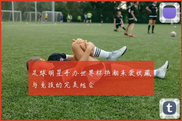 足球明星手办世界杯热潮来袭收藏与竞技的完美结合