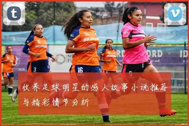 收养足球明星的感人故事小说推荐与精彩情节分析