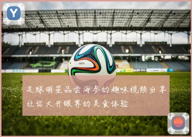 足球明星品尝海参的趣味视频分享让你大开眼界的美食体验