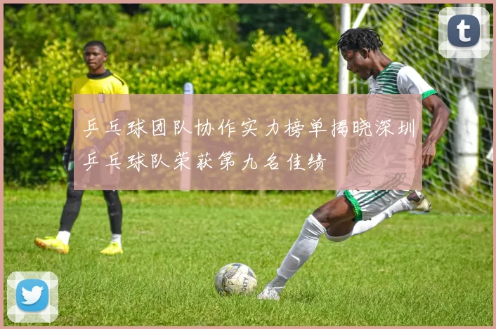 乒乓球团队协作实力榜单揭晓深圳乒乓球队荣获第九名佳绩