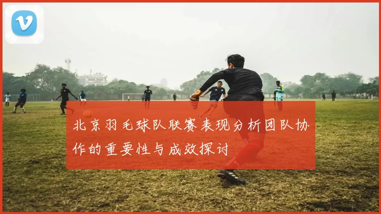 北京羽毛球队联赛表现分析团队协作的重要性与成效探讨