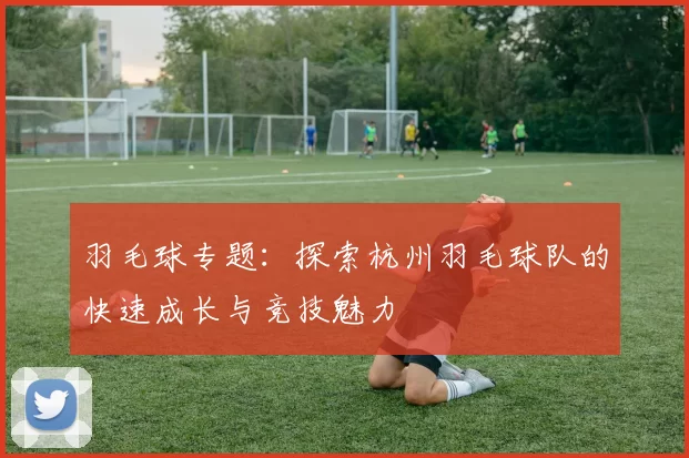 羽毛球专题：探索杭州羽毛球队的快速成长与竞技魅力