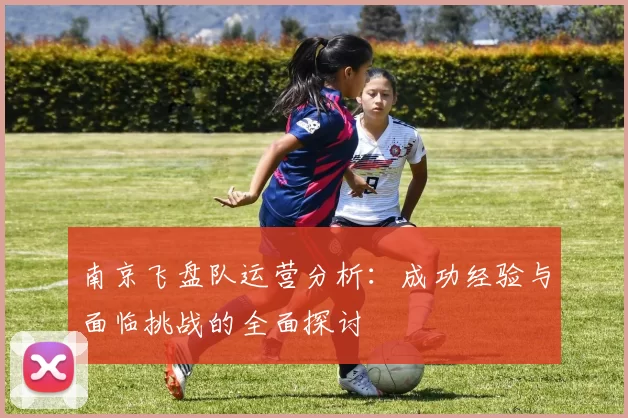 南京飞盘队运营分析：成功经验与面临挑战的全面探讨