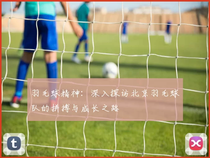 羽毛球精神：深入探访北京羽毛球队的拼搏与成长之路