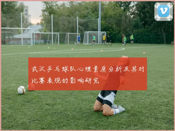 武汉乒乓球队心理素质分析及其对比赛表现的影响研究