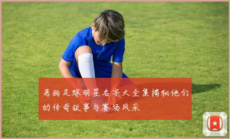 恶狗足球明星名字大全集揭秘他们的传奇故事与赛场风采