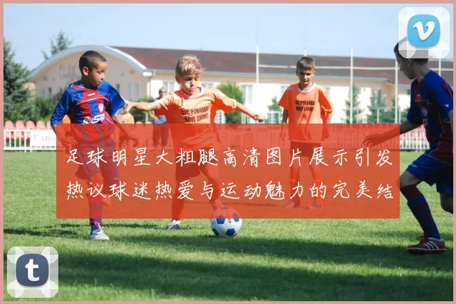 足球明星大粗腿高清图片展示引发热议球迷热爱与运动魅力的完美结合