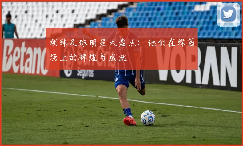 朝韩足球明星大盘点：他们在绿茵场上的辉煌与成就
