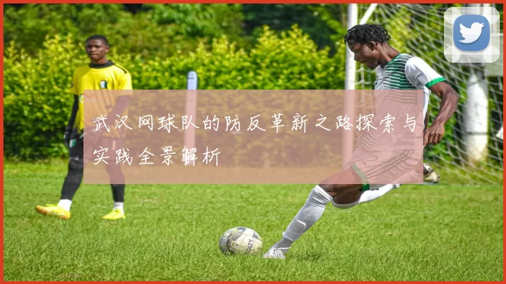 武汉网球队的防反革新之路探索与实践全景解析