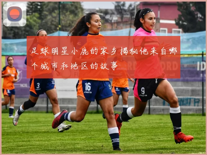 足球明星小鹿的家乡揭秘他来自哪个城市和地区的故事