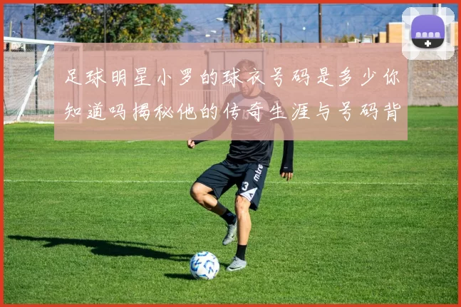 足球明星小罗的球衣号码是多少你知道吗揭秘他的传奇生涯与号码背后的故事