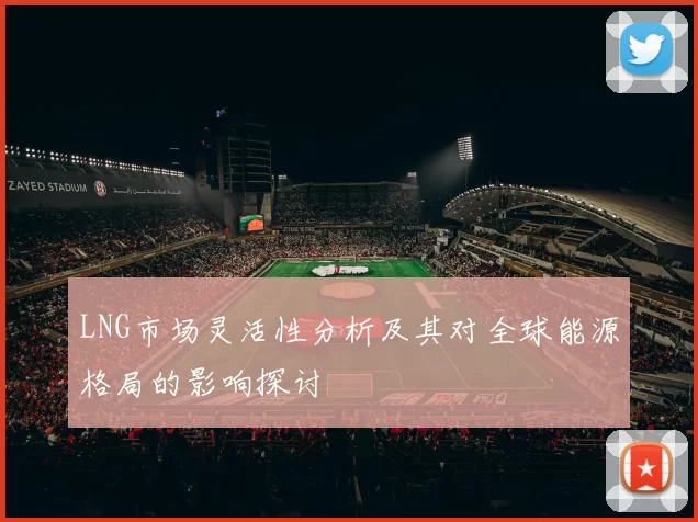LNG市场灵活性分析及其对全球能源格局的影响探讨
